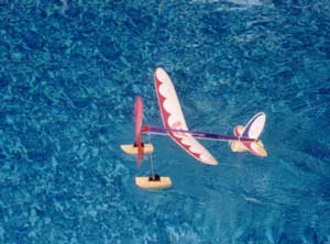 Jim Walker Hornet on floats